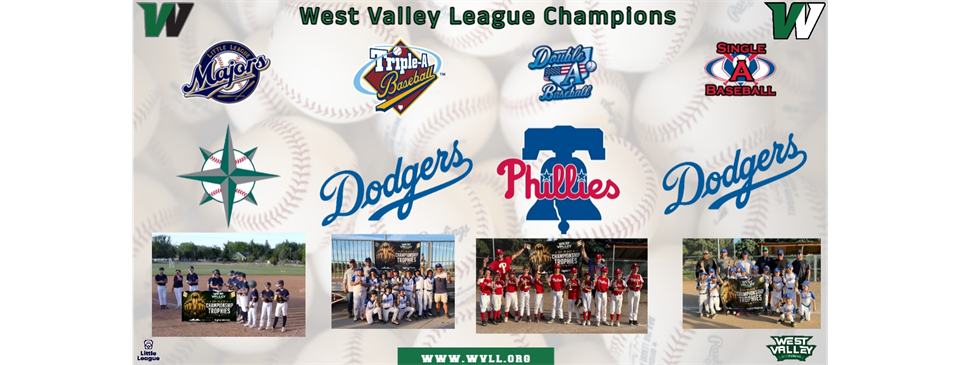 West Valley Little League Division Champions 